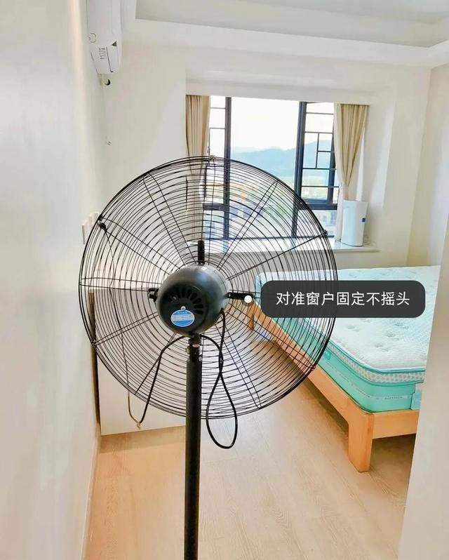 甲醛除得慢？这些小妙招，省钱安全又便捷